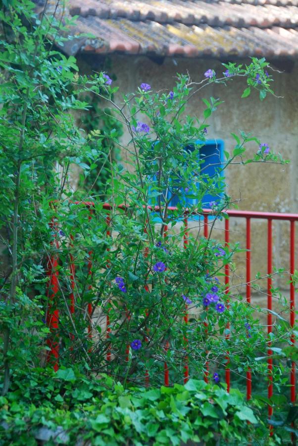 Les Volets Bleus Provence Hotel Salon-de-Provence Exterior photo